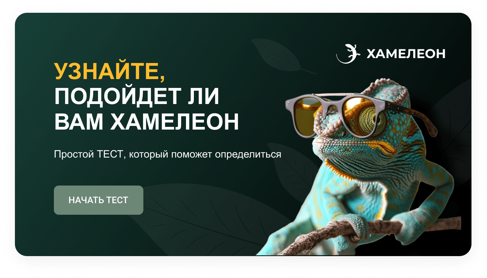 ХАМЕЛЕОН — 999 в 1. Безлимитный конструктор лендингов с корзиной и функциями для «автоворонок»