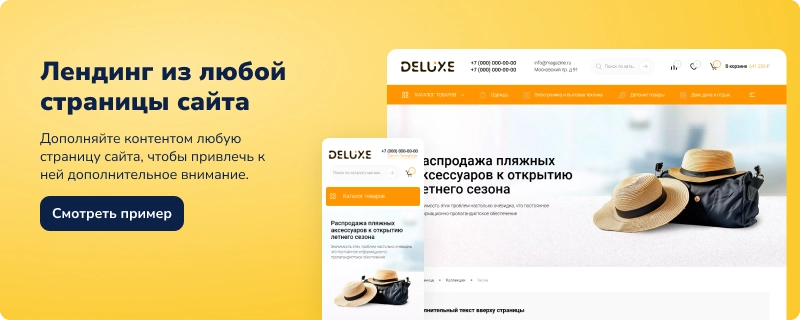 Deluxe - многофункциональный интернет-магазин 2 в 1