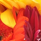 Универсальный сайт-визитка