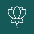 Team-B - Цветы сайт с каталогом №16