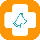 Ветеринарная клиника: современный сайт