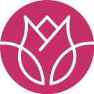 Цветочный магазин Floristic. Каталог цветов, букетов, подарков.