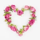 Иннова: flowersShop - каталог цветов с корзиной и онлайн-оплатой