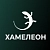 ХАМЕЛЕОН — 999 в 1. Безлимитный конструктор лендингов с корзиной и функциями для «автоворонок»